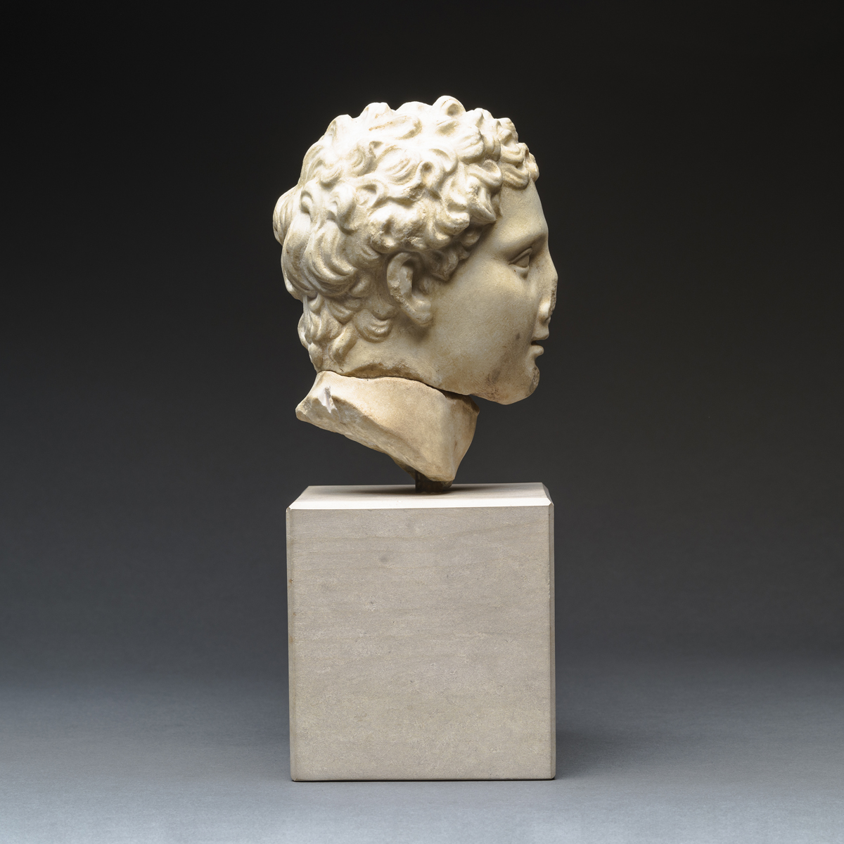 Hellenistic Marble Head of Alexander the Great Barakat Gallery Store